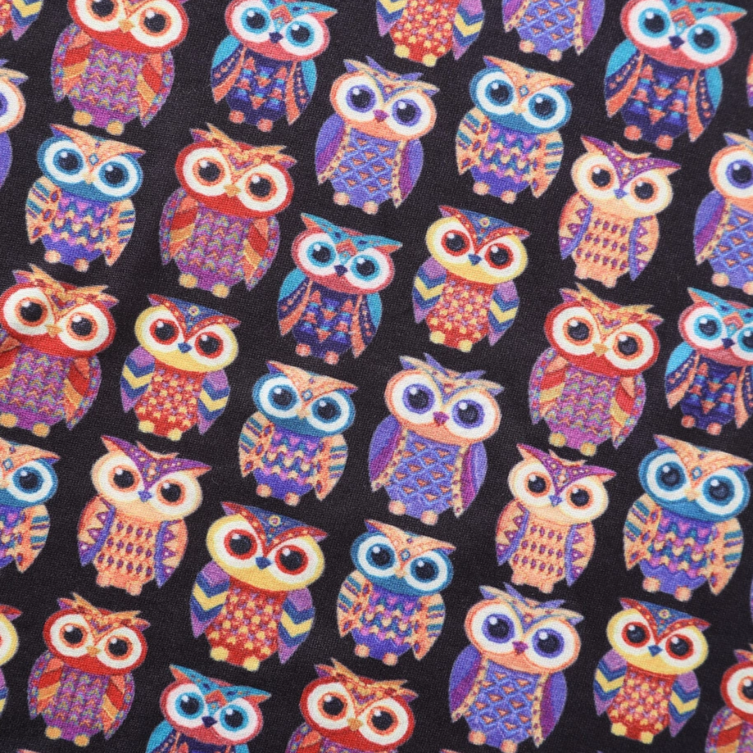 Dolly & Dotty Julia Owl Print Dress - shipping late April